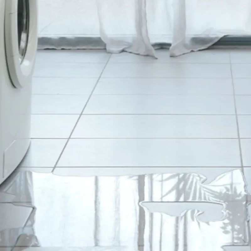 Appliance Leak Cleanup in Kathleen, FL