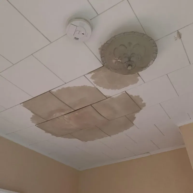 Ceiling Water Damage Repair in Kathleen, FL